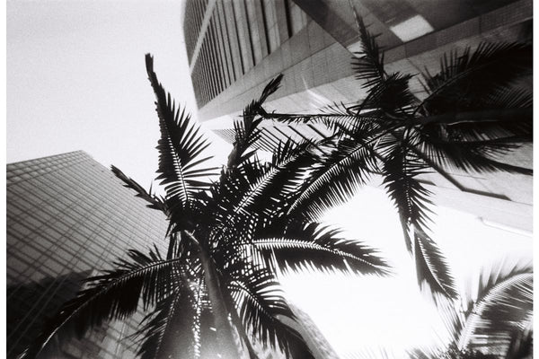 Simple Use Reloadable Film Camera Black & White