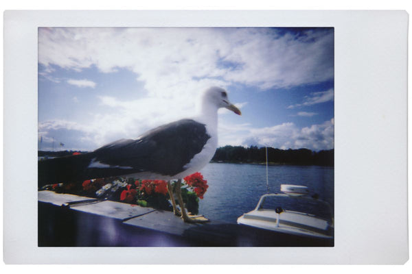 Lomo’Instant Camera Sanremo Edition