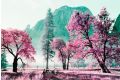 LomoChrome Purple 35mm Film