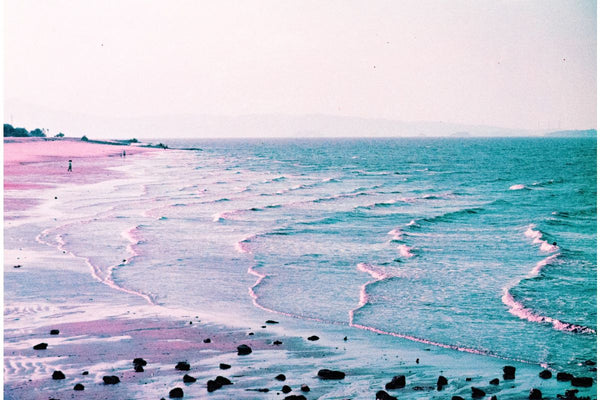 LomoChrome Purple 35mm Film