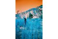 LomoChrome Turquoise 35mm Film