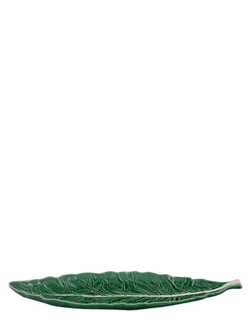 Cabbage Narrow Leaf (40cm)