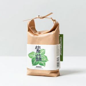 Shiso Japanese Basil Kit