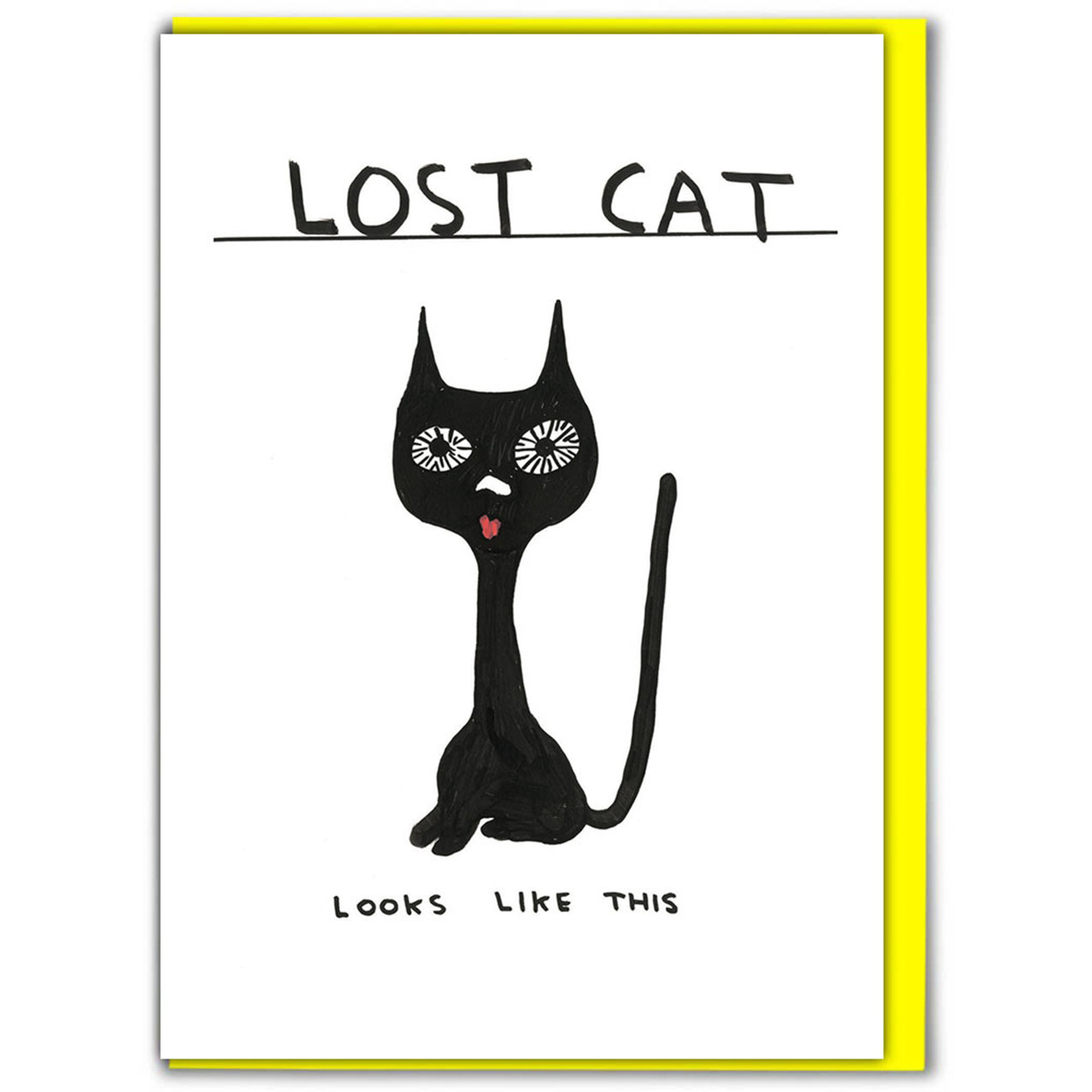 Lost Cat Greetings Card
