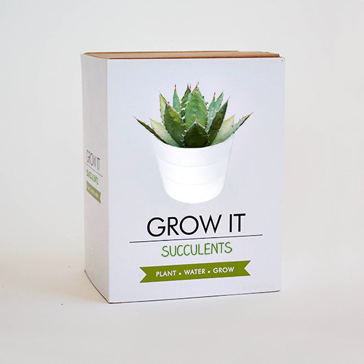 Grow It Succulents