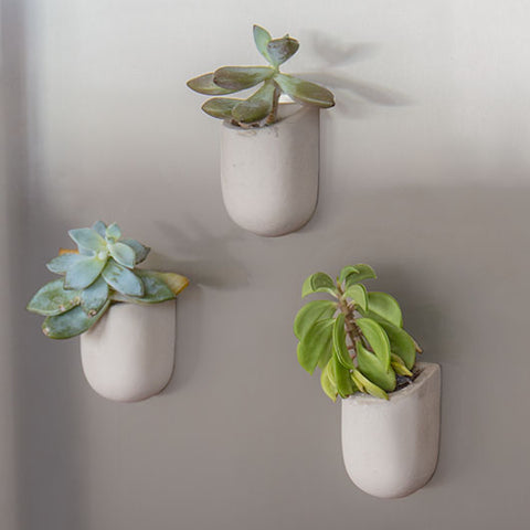 Magnetic Planters